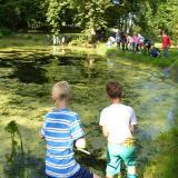 Foto: Teilnehmer des KinderFerienspaß-Biosphäre untersuchen einen Teich auf Kleinlebewesen. Fotoautor: Frank Hermann