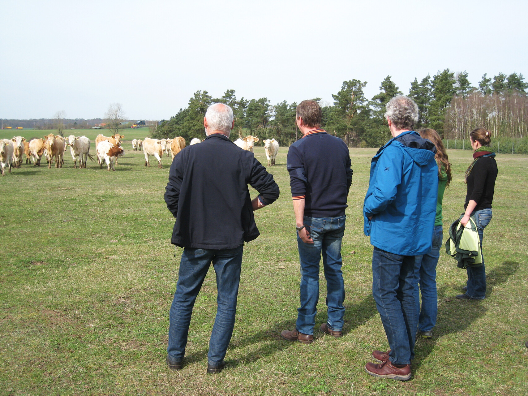 Foto: Besichtigung des Rinderzuchtbetriebes Bobzin in Woez. Fotoautorin: Corina Müller