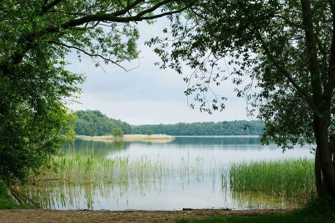 Titelfoto: Blick auf den Schaalsee. Fotoautor: Dirk Eisermann
