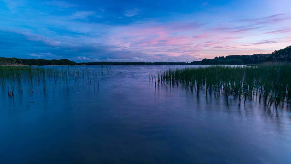 Der Förderverein Biosphäre Schaalsee e.V. | Naturschutz, Umweltbildung ...